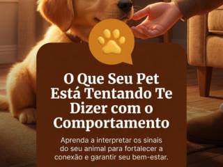 O Que Seu Pet Está Tentando Te Dizer com o Comportamento