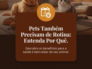 Pets Também Precisam de Rotina: Entenda Por Quê