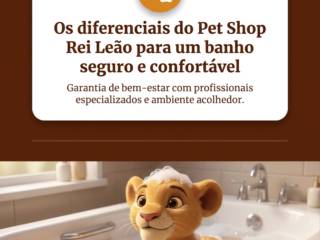 Os diferenciais do Pet Shop Rei Leão para um banho seguro e confortável