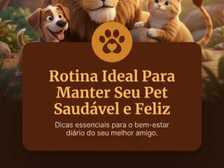 Rotina Ideal Para Manter Seu Pet Saudável e Feliz