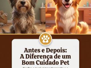 Antes e Depois: A Diferença de um Bom Cuidado Pet