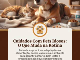 Cuidados Com Pets Idosos: O Que Muda na Rotina