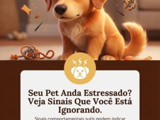 Seu Pet Anda Estressado? Veja Sinais Que Você Está Ignorando