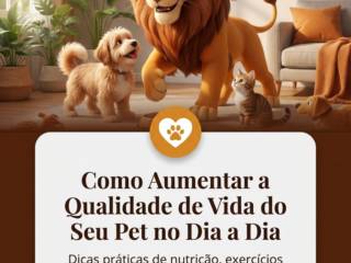 Como Aumentar a Qualidade de Vida do Seu Pet no Dia a Dia
