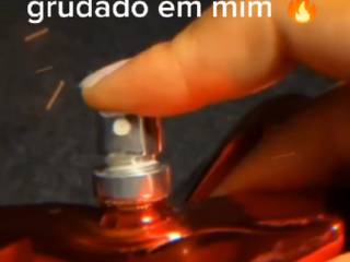 A Essência do Prazer