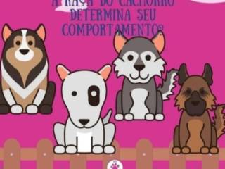 Verdade ou mito? A raça do seu cachorro determina o seu comportamento?