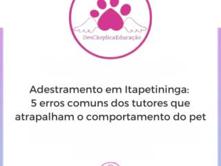 Adestramento em Itapetininga: 5 erros comuns dos tutores que atrapalham o comportamento do pet
