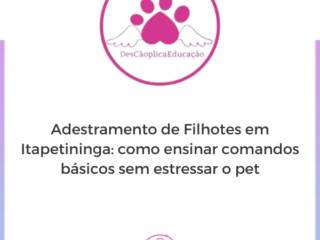 Adestramento de Filhotes em Itapetininga: como ensinar comandos básicos sem estressar o pet