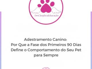 Adestramento Canino: Por Que a Fase dos Primeiros 90 Dias Define o Comportamento do Seu Pet para Sempre