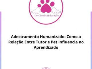 Adestramento Humanizado: Como a Relação Entre Tutor e Pet Influencia no Aprendizado