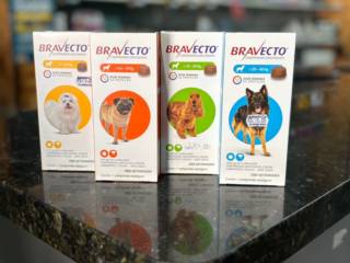 Proteção que Dura: Bravecto é na Animais & Cia!