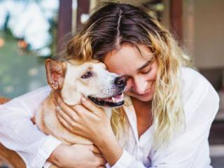 Tudo para o seu pet em um só lugar em Mineiros