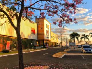 Toda a Família Merece o Melhor: Explore o Ipê Shopping em Mineiros