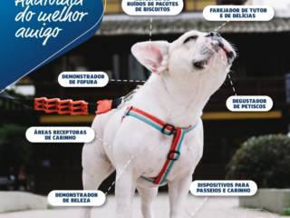 Os cães são feitos de muito amor, carinho e pedacinhos que nos encantam e merecem o melhor cuidado, não é mesmo?