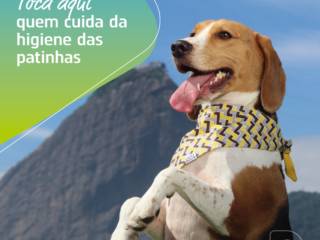 Você limpa as patinhas do seu pet quando retorna do passeio?