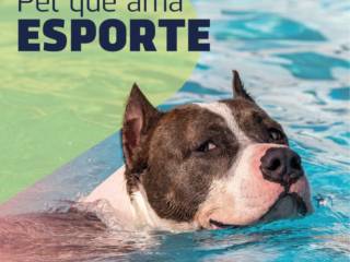 Olimpíadas de Tóquio!!!