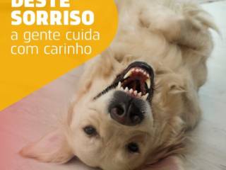 Você cuida da higiene bucal do seu pet com muito carinho?