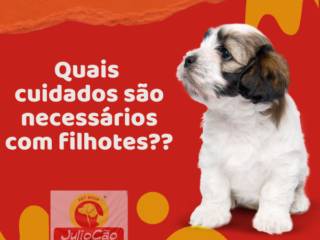 Quais cuidados são necessários com filhotes?