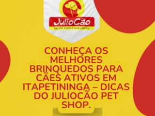 Conheça os Melhores Brinquedos Para Cães Ativos em Itapetininga – Dicas do JulioCão PET SHOP.