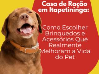 Casa de Ração em Itapetininga: Como Escolher Brinquedos e Acessórios Que Realmente Melhoram a Vida do Pet