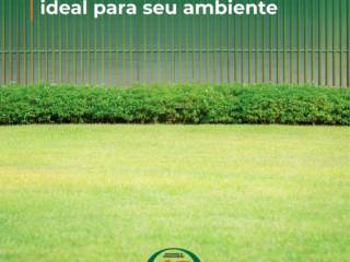 Conheça os tipos de grama ideal para o seu ambiente 