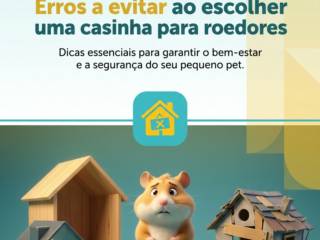 Erros a evitar ao escolher uma casinha para roedores