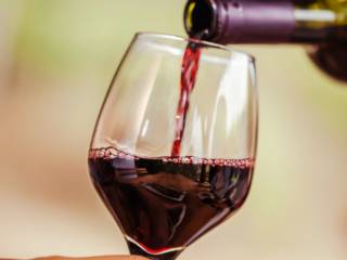 Vinhos que vão bem com todas as ocasiões! 