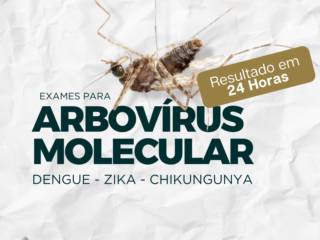 Exames Para Arbovírus Molecular