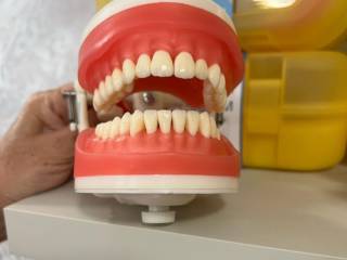 Como conservar seu material odontológico
