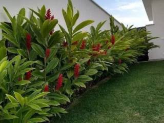 Jardinagem Completa para Quem Valoriza Beleza e Organização