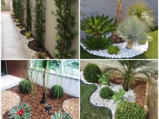 Dê Vida Nova ao Seu Jardim Sem Complicação