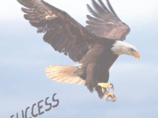 Sucesso não é sorte, é ação!