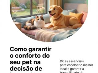 Como garantir o conforto do seu pet na decisão de hospedagem