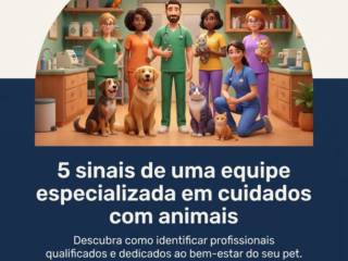 5 sinais de uma equipe especializada em cuidados com animais