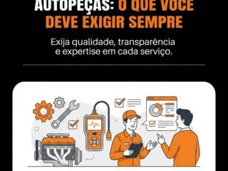 Atendimento Técnico Em Autopeças: O Que Você Deve Exigir Sempre