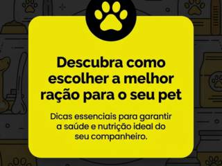 Descubra como escolher a melhor ração para o seu pet