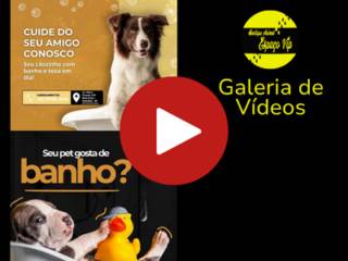 Galeria de Vídeos