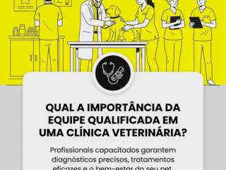 Qual a importância da equipe qualificada em uma clínica veterinária?