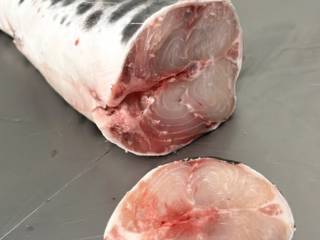 Benefícios do consumo de peixe para a saúde