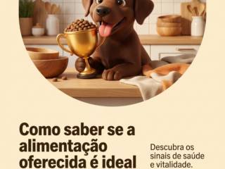Como saber se a alimentação oferecida é ideal para seu pet?