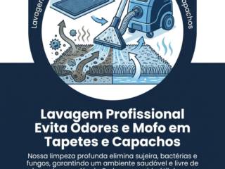 Lavagem Profissional Evita Odores e Mofo em Tapetes e Capachos