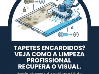 Tapetes Encardidos? Veja Como a Limpeza Profissional Recupera o Visual