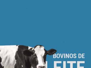 Bovinos de Leite