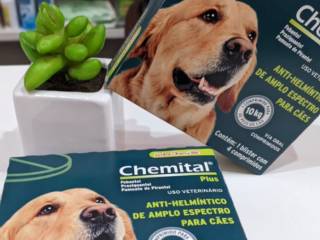 Vermífugos: O Passo Essencial para a Saúde do Seu Pet