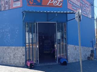 Sou Mais Pet: seu destino completo para animais