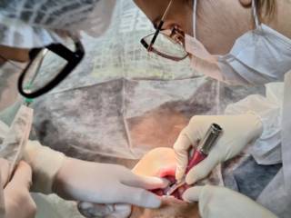 Cuide da Sua Saúde Bucal com os Melhores: Odonto Excellence em Mineiros