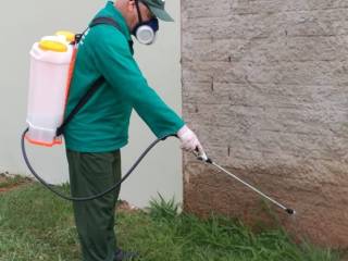 Quando é aconselhável fazer uma dedetização?