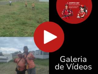 Galeria de Vídeos
