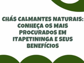 Chás calmantes naturais: conheça os mais procurados em Itapetininga e seus benefícios