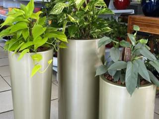 Vasos Decor: A Loja Ideal para Quem Ama Plantas e Decoração em Mineiros